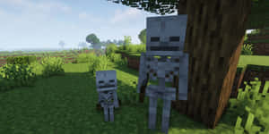 兩個Minecraft骷髏站在樹附近的草地上。 — 我的世界苦力怕 壁紙