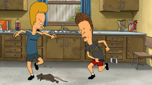 Beavis 和 Butthead 在凌亂的廚房裡追趕一隻老鼠。 — 阿呆與阿瓜 壁紙