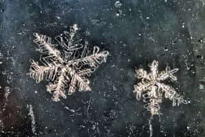 深色玻璃表面上的霜雪雪花 — 雪花 GIF 壁紙