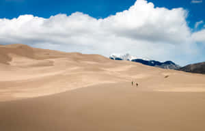 兩人在廣闊的沙丘上遠足，背景有雪山。 — 沙漠 壁紙