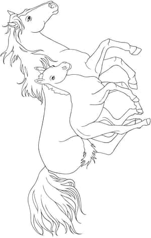 兩匹馬，一匹成年一匹幼馬，以優美的動作向上跳躍，以黑色線條勾勒。 — 高解析度馬匹 壁紙