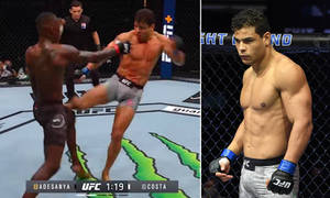 UFC比賽中，八角籠內的兩名男性MMA拳手，一人踢向另一人。 — 終極格鬥冠軍賽 壁紙