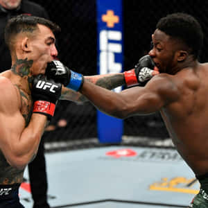 兩名男性MMA拳手在UFC八角籠內互相出拳。 — 終極格鬥冠軍賽 壁紙