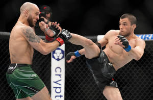 兩名戴著MMA手套的男性拳手在八角籠內交換高踢和阻擋。 — 終極格鬥冠軍賽 壁紙