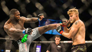 兩名男性MMA拳手在八角籠中，一人踢向另一人，後者阻擋。 — 終極格鬥冠軍賽 壁紙