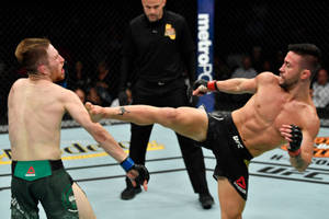 兩名戴著MMA手套的男性拳手在八角籠內交換高踢和格擋。 — 終極格鬥冠軍賽 壁紙