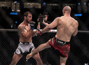 兩名身穿MMA裝備的男性拳手在八角籠內交換高踢和阻擋。 — 終極格鬥冠軍賽 壁紙