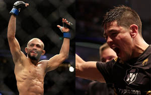 兩名MMA拳手在八角籠內高舉雙臂、激情咆哮慶祝勝利。 — 終極格鬥冠軍賽 壁紙