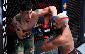 兩名男性MMA拳手在八角籠內於比賽中互相出拳。 — 終極格鬥冠軍賽 壁紙