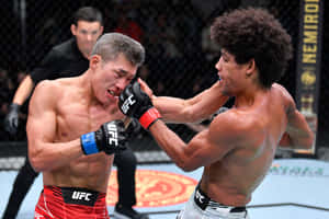 兩名男性MMA拳手在八角籠內的UFC比賽中行動。 — 終極格鬥冠軍賽 壁紙
