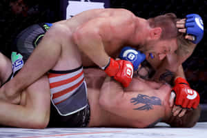 兩名戴著MMA手套的男性拳手在八角籠內激烈纏鬥。 — 運動 壁紙