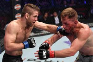 兩名男拳手在UFC八角籠中進行血腥比賽時互相出拳。 — 終極格鬥冠軍賽 壁紙