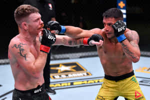 兩名男性拳手在UFC比賽中於八角籠內互換拳擊。 — 運動 壁紙