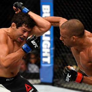 兩名男性拳手在UFC籠鬥中交換強力打擊。 — 運動 壁紙