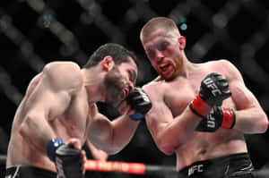 兩名男性MMA拳手在UFC比賽期間於八角籠內互相出拳。 — 終極格鬥冠軍賽 壁紙