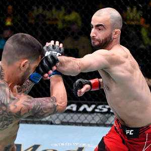 兩名戴著MMA手套的男性拳手在八角籠內互相出拳。 — 運動 壁紙