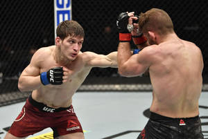 兩名男性MMA拳手在八角形鐵籠內進行職業比賽時互相出拳。 — 運動 壁紙