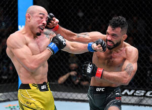 兩名男性MMA拳手在UFC八角鐵籠賽中互相出拳。 — 終極格鬥冠軍賽 壁紙