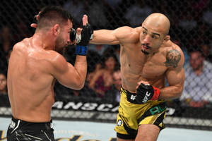 兩名男性MMA拳手在比賽期間於八角籠內互換拳擊。 — 終極格鬥冠軍賽 壁紙