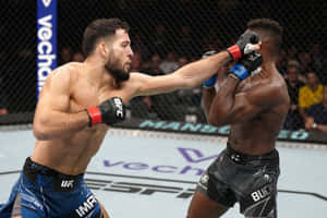 兩名男性MMA拳手在鐵籠內進行高強度比賽。 — 終極格鬥冠軍賽 壁紙