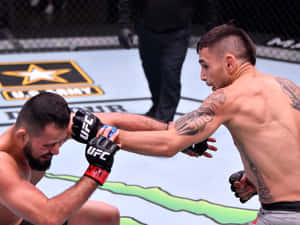 兩名男性MMA拳手在UFC比賽中於鐵籠賽內互相出拳。 — 4:3 壁紙