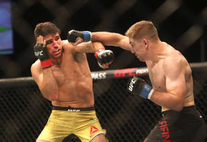 兩名男性拳手在UFC比賽中於八角籠內互相出拳。 — 終極格鬥冠軍賽 壁紙