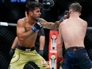 兩名戴著MMA手套的男性拳手在八角形鐵籠內互相出拳。 — 終極格鬥冠軍賽 壁紙