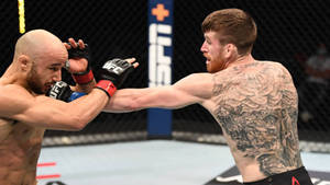 兩名男性拳手戴著MMA手套在八角籠內互相出拳。 — 終極格鬥冠軍賽 壁紙
