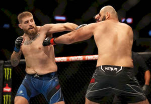 兩名男性MMA拳手在鐵籠賽中互相出拳。 — 終極格鬥冠軍賽 壁紙