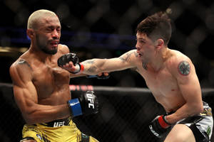 兩名男性拳手在UFC八角籠中進行綜合格鬥比賽時互相出拳。 — 終極格鬥冠軍賽 壁紙