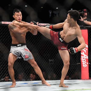 籠中的兩名男性拳手，在UFC比賽中一人踢向另一人。 — 終極格鬥冠軍賽 壁紙