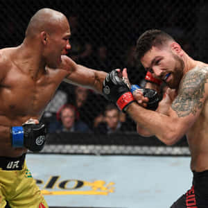 兩名戴著MMA手套的男性拳手在八角籠內交換一拳。 — 終極格鬥冠軍賽 壁紙