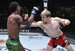 兩名男性MMA拳手在八角籠內互相出拳，進行UFC比賽。 — 終極格鬥冠軍賽 壁紙