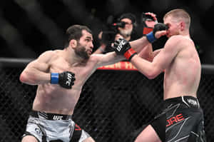 兩名男性MMA拳手在八角籠內於UFC比賽中互相出拳。 — 終極格鬥冠軍賽 壁紙