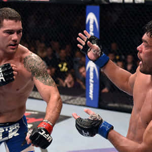 兩名男性MMA拳手在籠中進行激烈比賽。 — 運動 壁紙