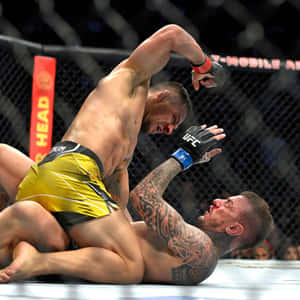 兩名男性MMA拳手在籠內，一人向另一人面部使出肘擊。 — 運動 壁紙