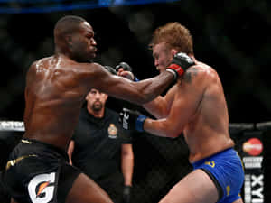 兩名男拳手在鐵籠中進行綜合格鬥比賽時互相出拳。 — 終極格鬥冠軍賽 壁紙