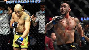 兩名男性MMA拳手在八角籠中，一名胸口有血，另一名專注備戰。 — 終極格鬥冠軍賽 壁紙