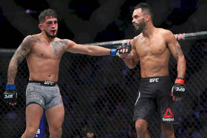 兩名男性MMA拳手在八角籠內賽後握手。 — 運動 壁紙
