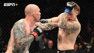 兩名刺青MMA拳手在鐵籠中互相出拳。 — 終極格鬥冠軍賽 壁紙