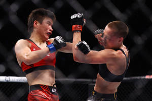 兩名女性拳手在UFC比賽中於八角籠內互毆。 — 運動 壁紙