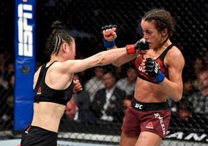 兩名女性MMA拳手在八角籠中交換拳擊。 — 運動 壁紙