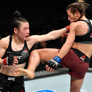 兩名女性MMA拳手在鐵籠賽中交換高踢和防守阻擋。 — 運動 壁紙