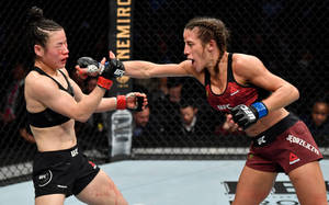 兩名女性MMA拳手在UFC比賽期間於鐵籠中互相出拳。 — 運動 壁紙