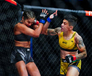 比賽期間籠中的兩名女性MMA拳手。 — 終極格鬥冠軍賽 壁紙