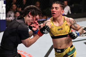 兩名女性MMA拳手在UFC八角籠中互換拳擊。 — 終極格鬥冠軍賽 壁紙