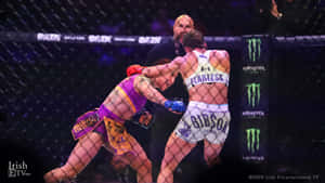 兩名女子MMA拳手在比賽期間於八角籠內扭打。 — 終極格鬥冠軍賽 壁紙