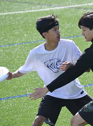 兩名運動員在陽光明媚的日子裡進行飛盤比賽。 — 運動 壁紙