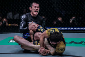 兩名MMA拳手在八角籠內進行纏鬥比賽。 — 運動 壁紙