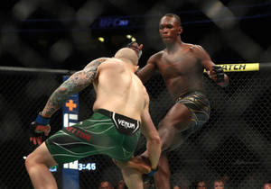 八角籠內的兩名MMA拳手，在UFC比賽中一人踢向另一人。 — 終極格鬥冠軍賽 壁紙